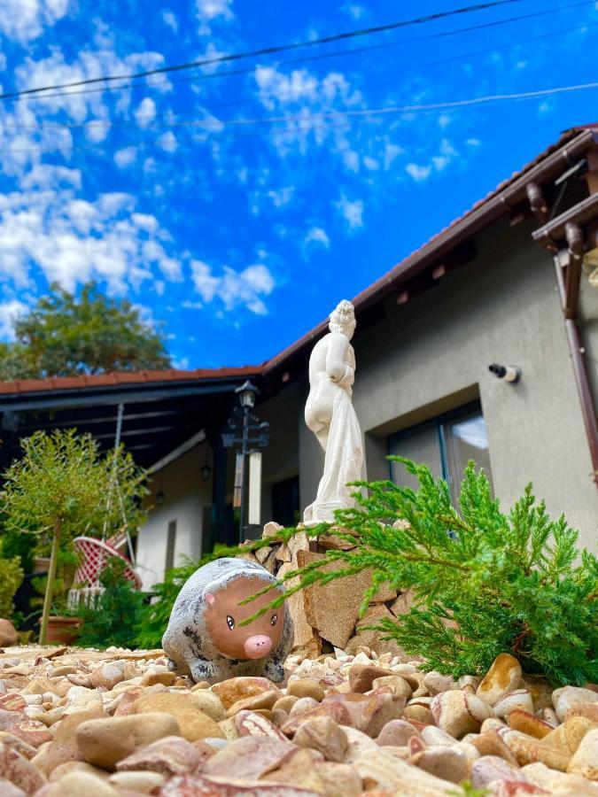 The Residence Of Silver Sky House Temeşvar Dış mekan fotoğraf