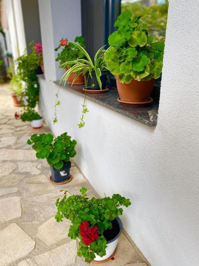 The Residence Of Silver Sky House Temeşvar Dış mekan fotoğraf